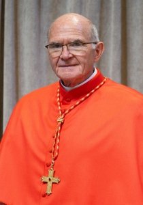 Cardinal Stephen Brislin